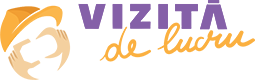 vizita de lucru gianina corondan